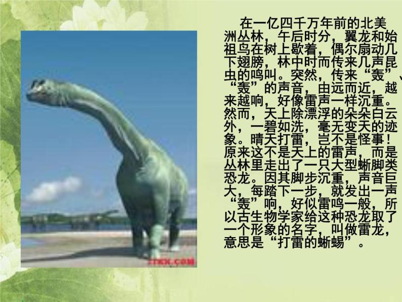 2020年三年级下册科学课件19北京自然博物馆首师大版(18张)ppt课件05