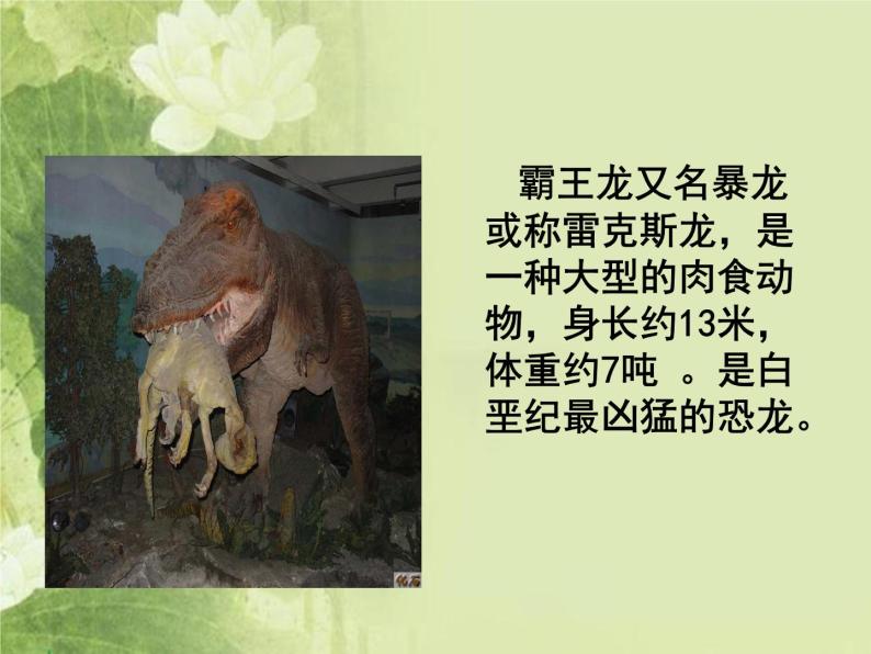 2020年三年级下册科学课件19北京自然博物馆首师大版(18张)ppt课件06