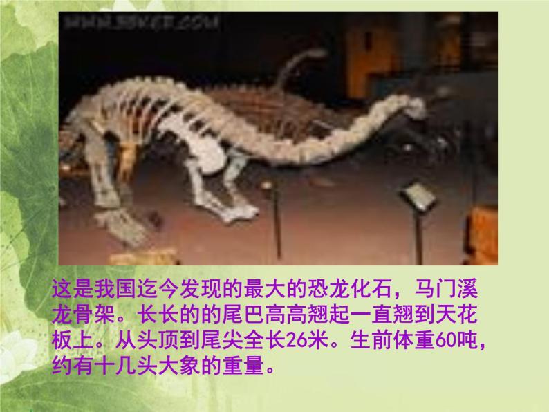 2020年三年级下册科学课件19北京自然博物馆首师大版(18张)ppt课件08