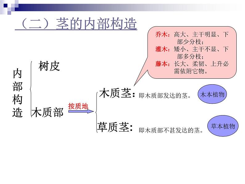 2020年四年级上册科学课件6茎的组成首师大版(9张)ppt课件05