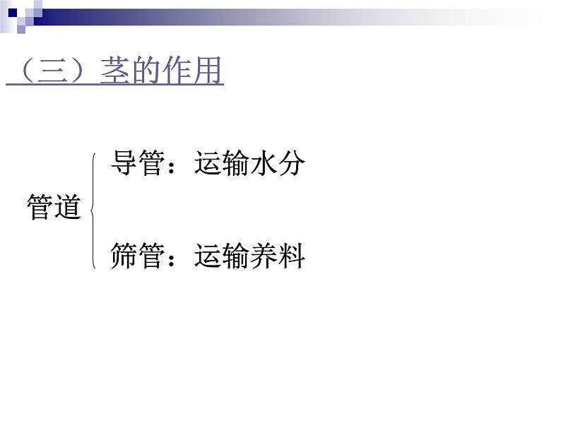 2020年四年级上册科学课件6茎的组成首师大版(9张)ppt课件06