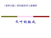 2020年四年级科学上册课件4.叶的组成首师大版(21张)ppt课件