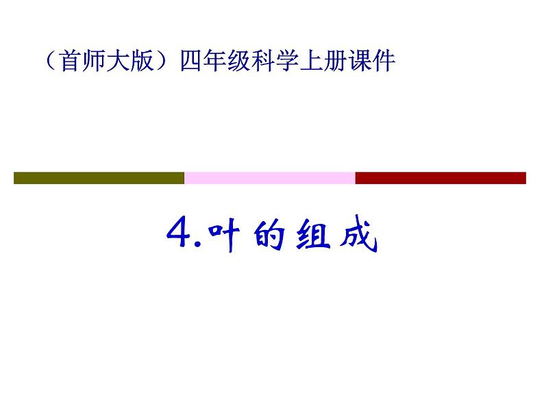 2020年四年级科学上册课件4.叶的组成首师大版(21张)ppt课件02