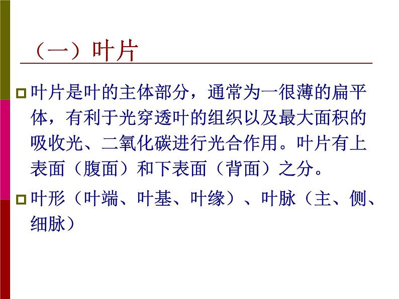 2020年四年级科学上册课件4.叶的组成首师大版(21张)ppt课件04