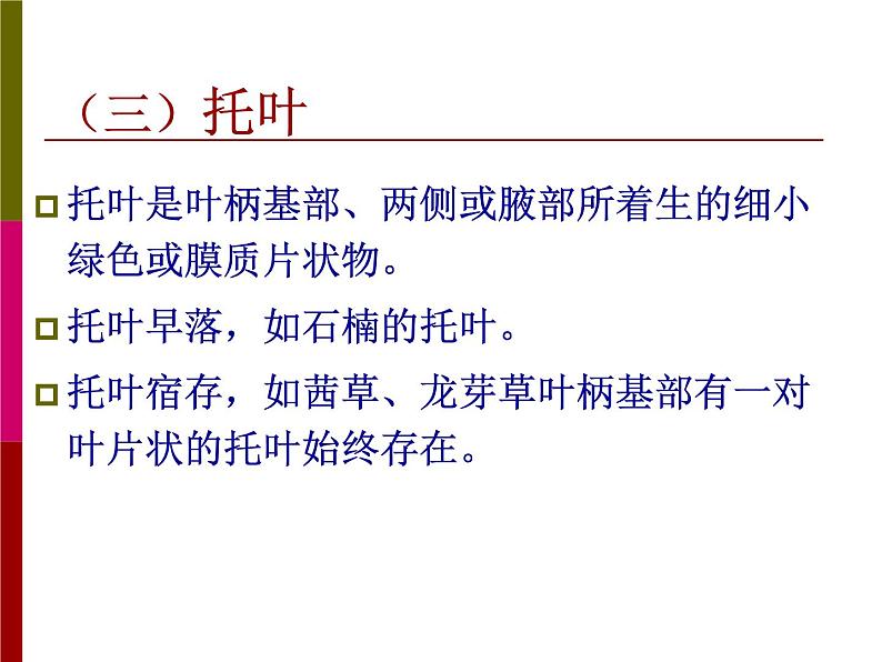 2020年四年级科学上册课件4.叶的组成首师大版(21张)ppt课件08