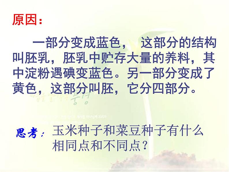 2020年三年级下册科学课件13.种子的构造首师大版(17张)ppt课件第8页