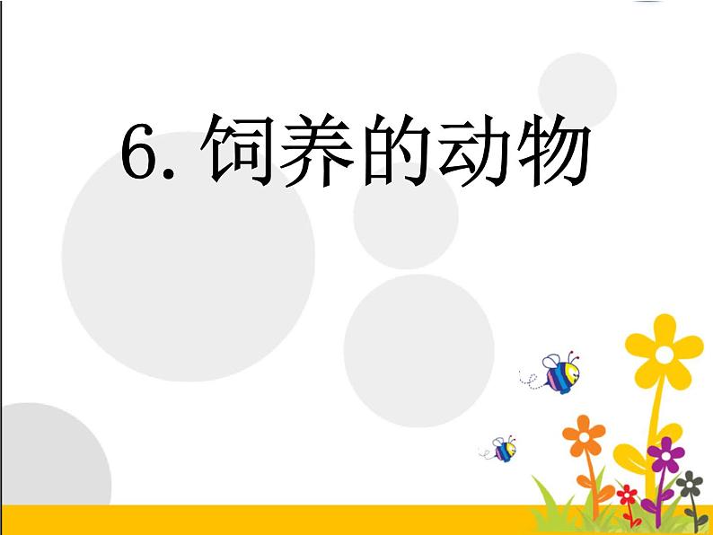 2020年三年级上册科学课件6《饲养的动物》首师大版(9张)ppt课件第2页