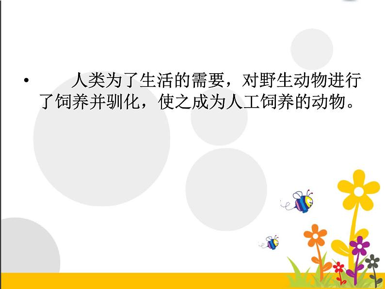 2020年三年级上册科学课件6《饲养的动物》首师大版(9张)ppt课件第3页