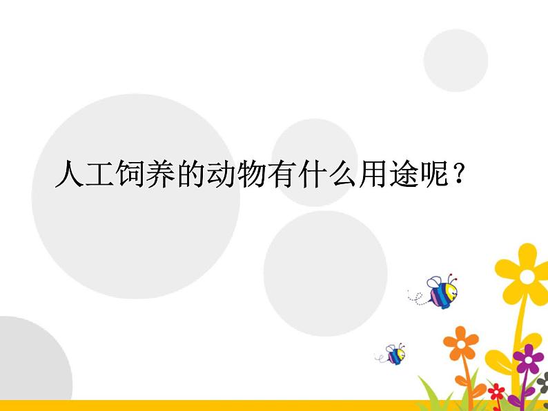 2020年三年级上册科学课件6《饲养的动物》首师大版(9张)ppt课件第6页