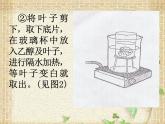 2020年三年级上册科学课件15《空气和生命》首师大版(12张)ppt课件