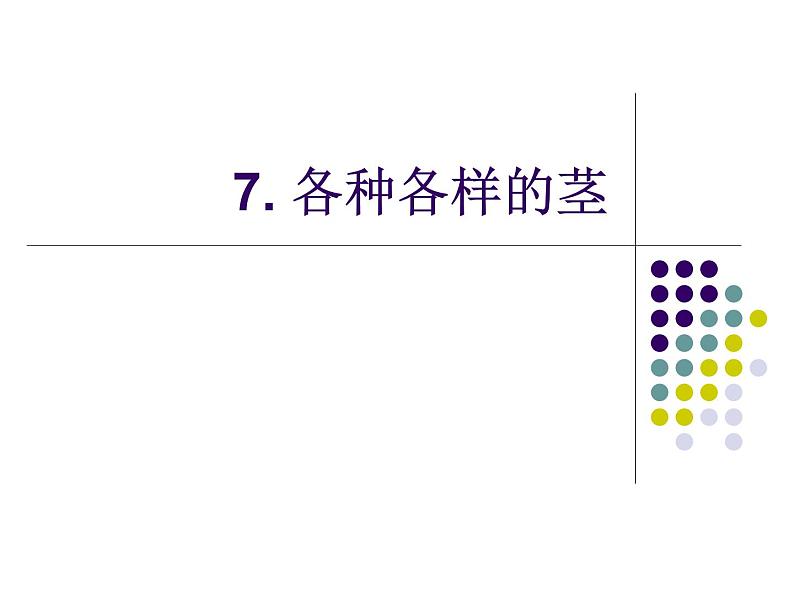 2020年四年级上册科学课件7各种各样的茎首师大版(18张)ppt课件第2页