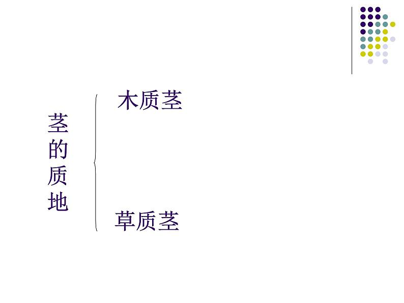 2020年四年级上册科学课件7各种各样的茎首师大版(18张)ppt课件第4页