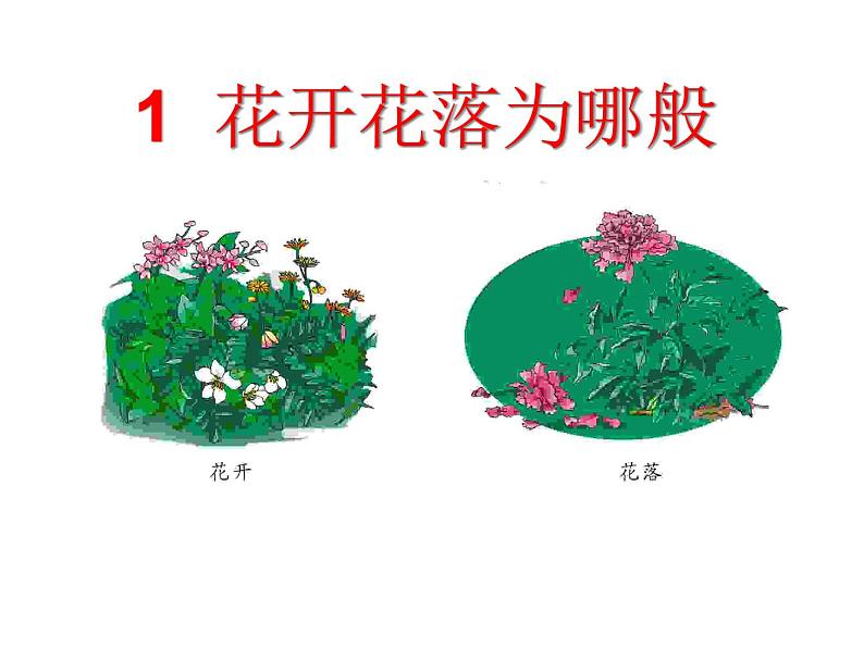 2020年四年级下册科学课件2.1花开花落为哪般湘科版(13张)ppt课件02