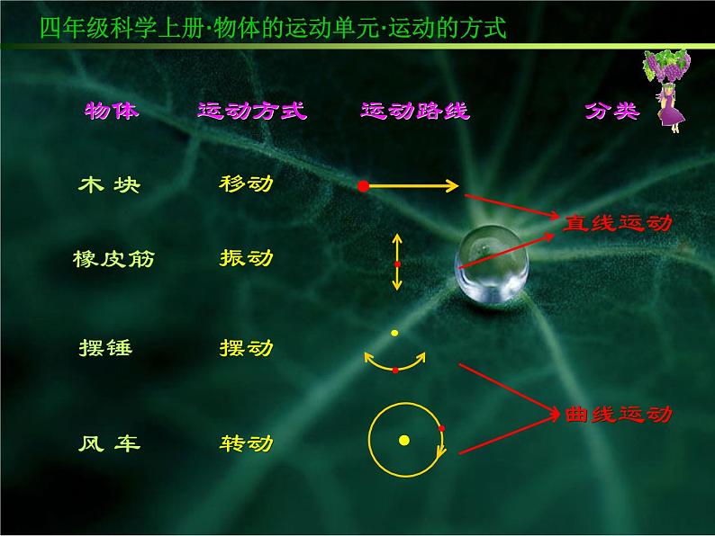 2020年四年级下册科学课件3.3运动的方式苏教版(17张)(4)ppt课件第4页