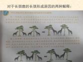 小学六年级下册科学-3.3达尔文和他的“进化论”-苏教版(27张)ppt课件