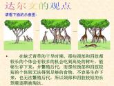 小学六年级下册科学-3.3达尔文和他的“进化论”-苏教版(27张)ppt课件