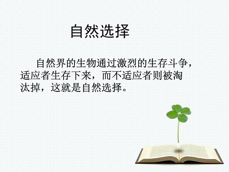 小学六年级下册科学-3.3达尔文和他的“进化论”-苏教版(19张)ppt课件第6页