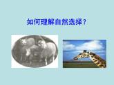 小学六年级下册科学-3.3达尔文和他的“进化论”-苏教版(24张)(1)ppt课件
