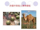 小学六年级下册科学-4.2有利于生存的本领-苏教版(45张)(1)ppt课件