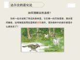 小学六年级下册科学-3.3达尔文和他的“进化论”-苏教版(15张)ppt课件