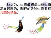 小学六年级下册科学-3.3达尔文和他的“进化论”-苏教版(26张)ppt课件