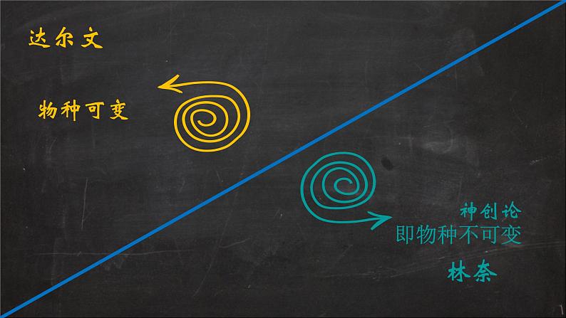 小学六年级下册科学-3.3达尔文和他的“进化论”-其他人的进化论-苏教版(14张)ppt课件第6页