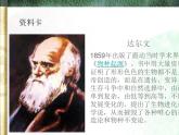 小学六年级下册科学-3.3达尔文和他的“进化论”-苏教版(11张)ppt课件