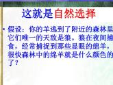 小学六年级下册科学-3.3达尔文和他的“进化论”-苏教版(11张)ppt课件