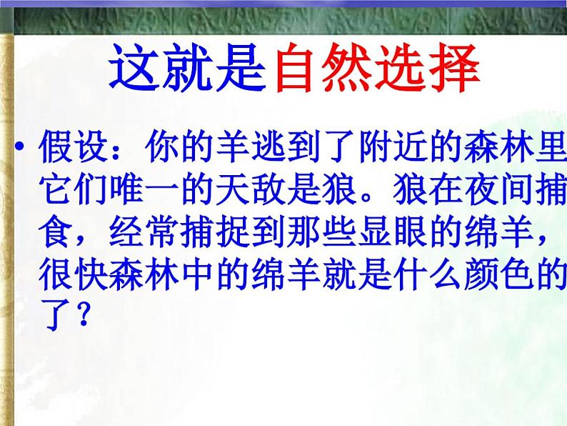 小学六年级下册科学-3.3达尔文和他的“进化论”-苏教版(11张)ppt课件第5页