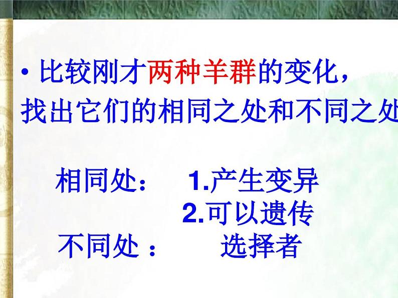 小学六年级下册科学-3.3达尔文和他的“进化论”-苏教版(11张)ppt课件第6页