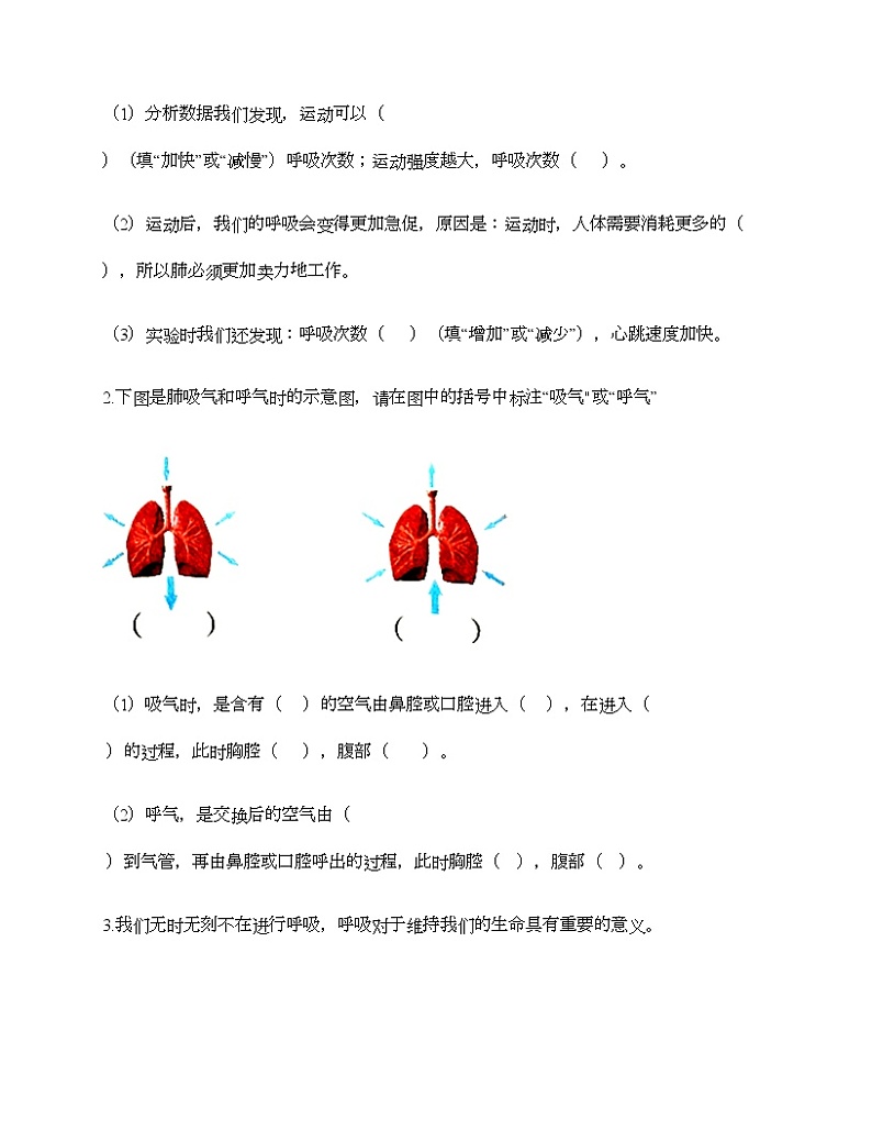第二单元 呼吸和消化 单元测试卷-2021-2022学年科学四年级上册-教科版（含答案） (1)03