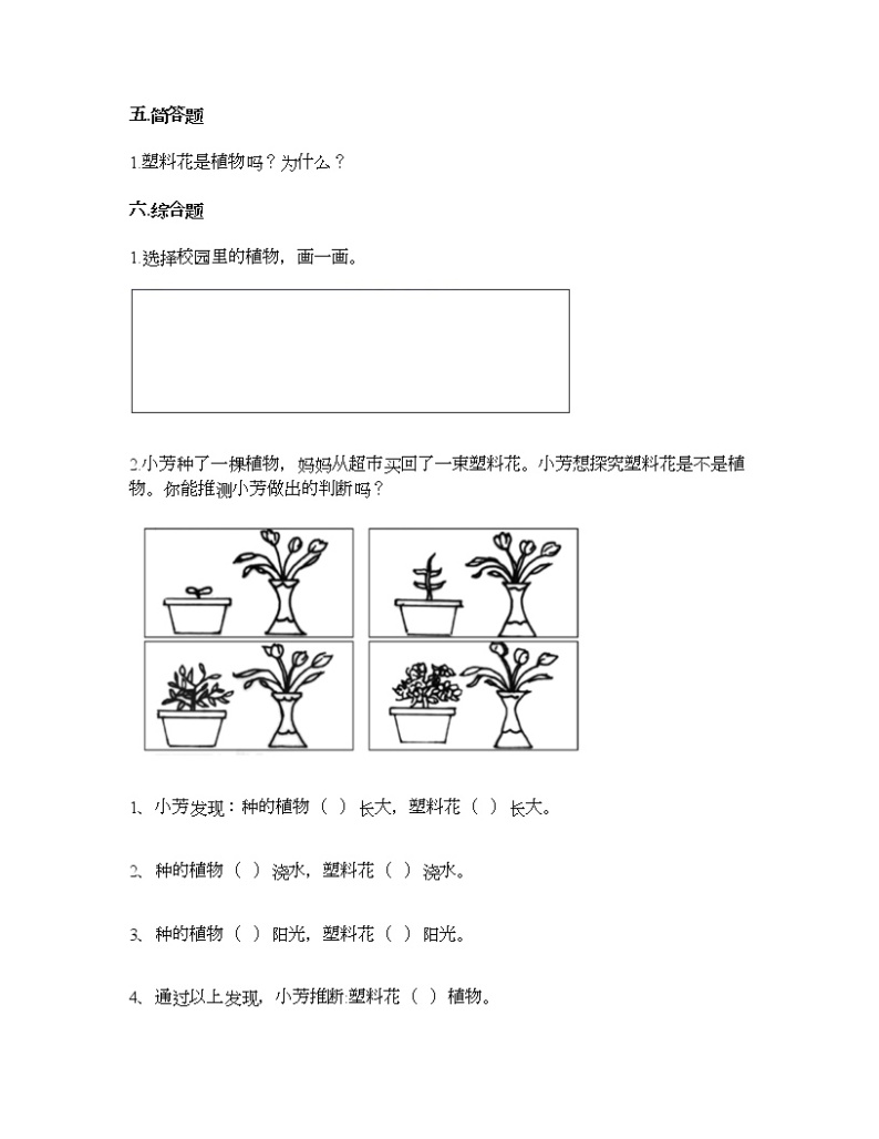 第一单元 植物 单元测试卷-2021-2022学年科学一年级上册-教科版（含答案） (93)03