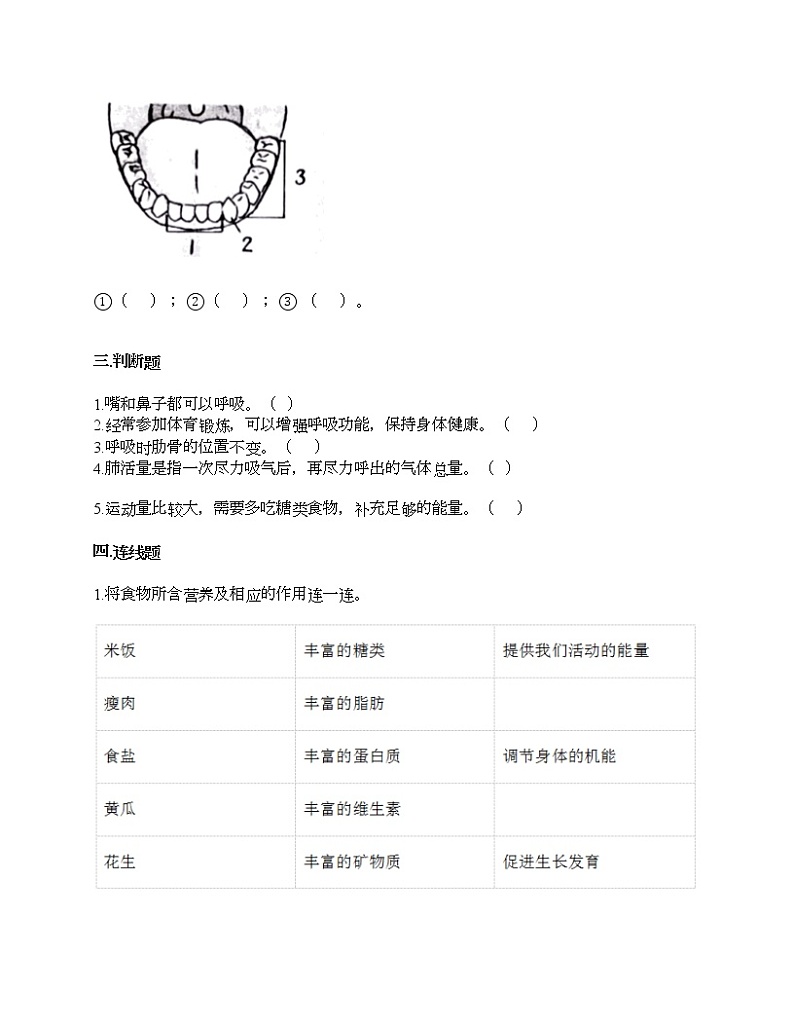 第二单元 呼吸和消化 单元测试卷-2021-2022学年科学四年级上册-教科版02