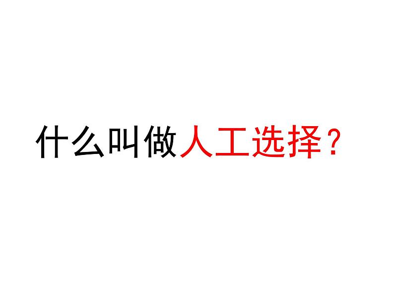 小学六年级下册科学-3.3达尔文和他的“进化论”-苏教版(27张)ppt课件第8页