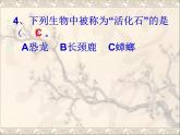 小学六年级下册科学-3.3达尔文和他的“进化论”-苏教版(50张)ppt课件