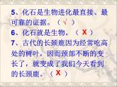 小学六年级下册科学-3.3达尔文和他的“进化论”-苏教版(50张)ppt课件