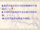 小学六年级下册科学-3.3达尔文和他的“进化论”-苏教版(50张)ppt课件