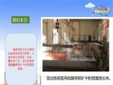 冀人版科学四年级上册17课《金属的来历》课件PPT