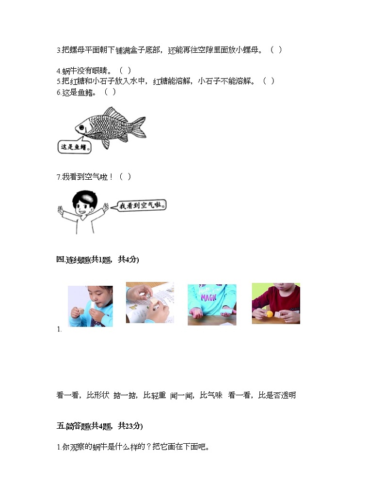 教科版一年级下册科学期末测试卷及答案1603