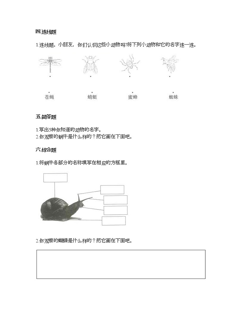 教科版一年级下册科学第二单元 动物 测试卷（含答案） (11)第3页