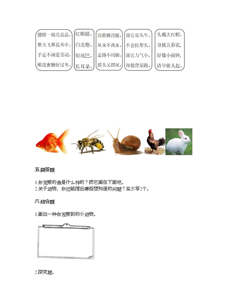 教科版一年级下册科学第二单元 动物 测试卷（含答案） (4)第3页