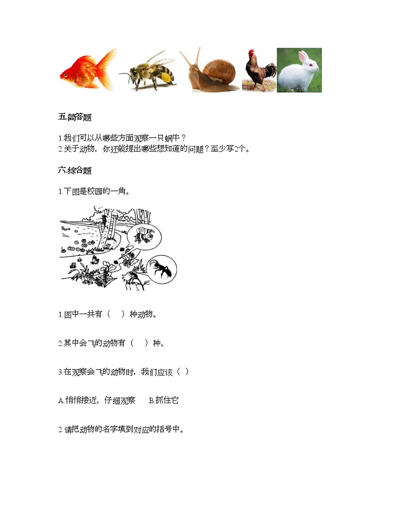 教科版一年级下册科学第二单元 动物 测试卷（含答案） (19)第3页
