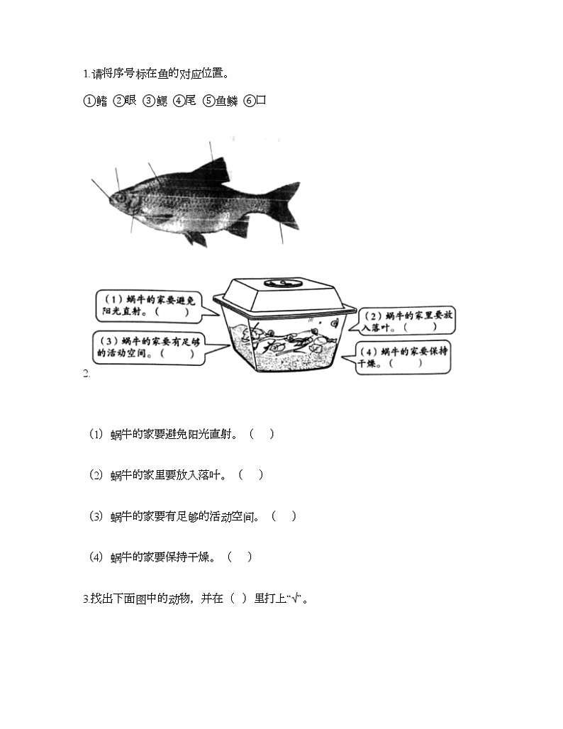 教科版一年级下册科学第二单元 动物 测试卷（含答案） (1)第3页