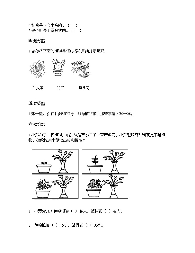 教科版一年级上册科学第一单元 植物 测试卷（含答案） (8)第2页