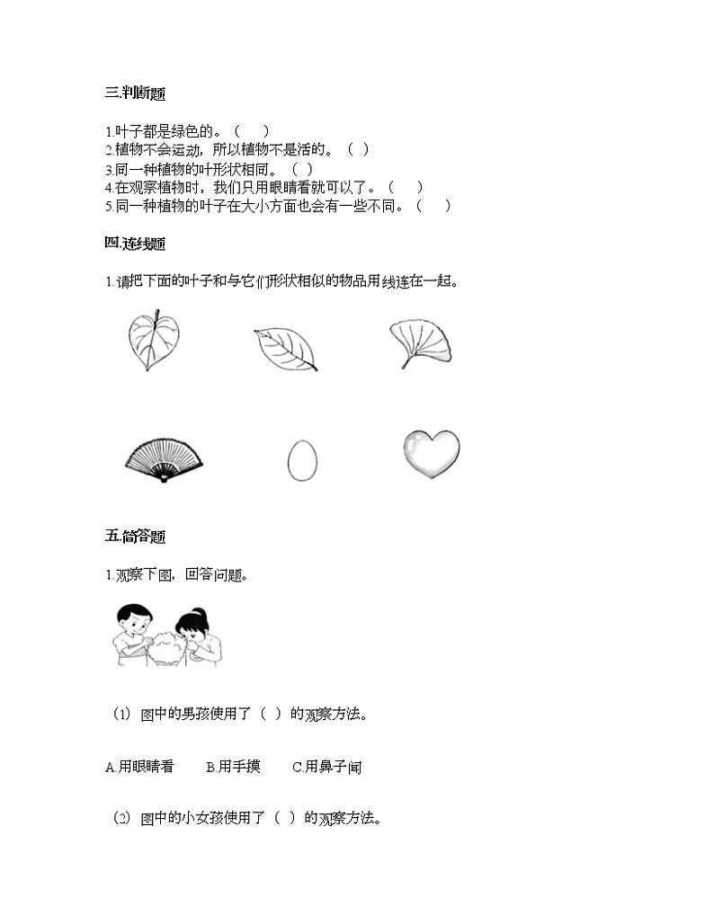 教科版一年级上册科学第一单元 植物 测试卷（含答案） (6)第2页