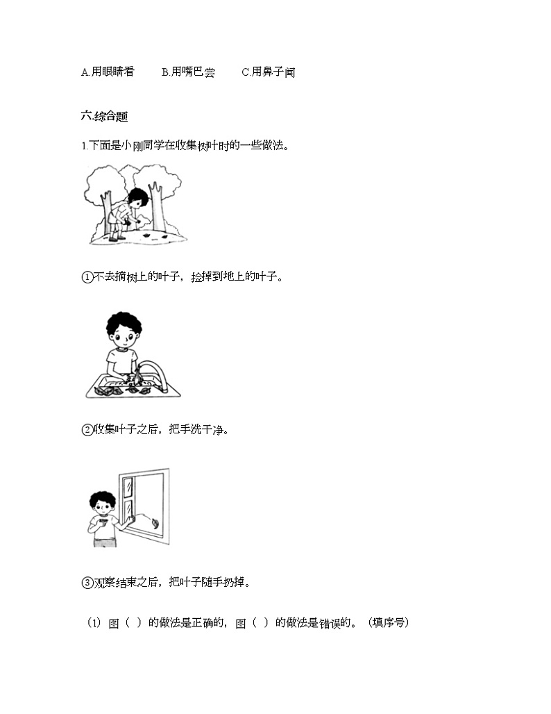 教科版一年级上册科学第一单元 植物 测试卷（含答案） (6)第3页