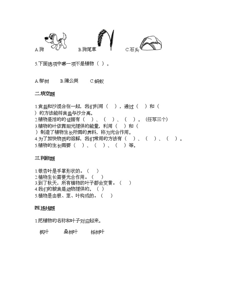 教科版一年级上册科学第一单元 植物 测试卷（含答案） (19)第2页