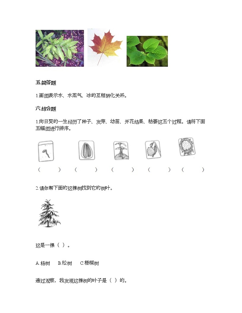 教科版一年级上册科学第一单元 植物 测试卷（含答案） (19)第3页