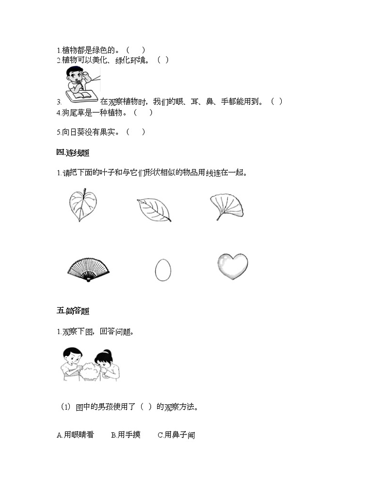 教科版一年级上册科学第一单元 植物 测试卷（含答案） (17)第2页