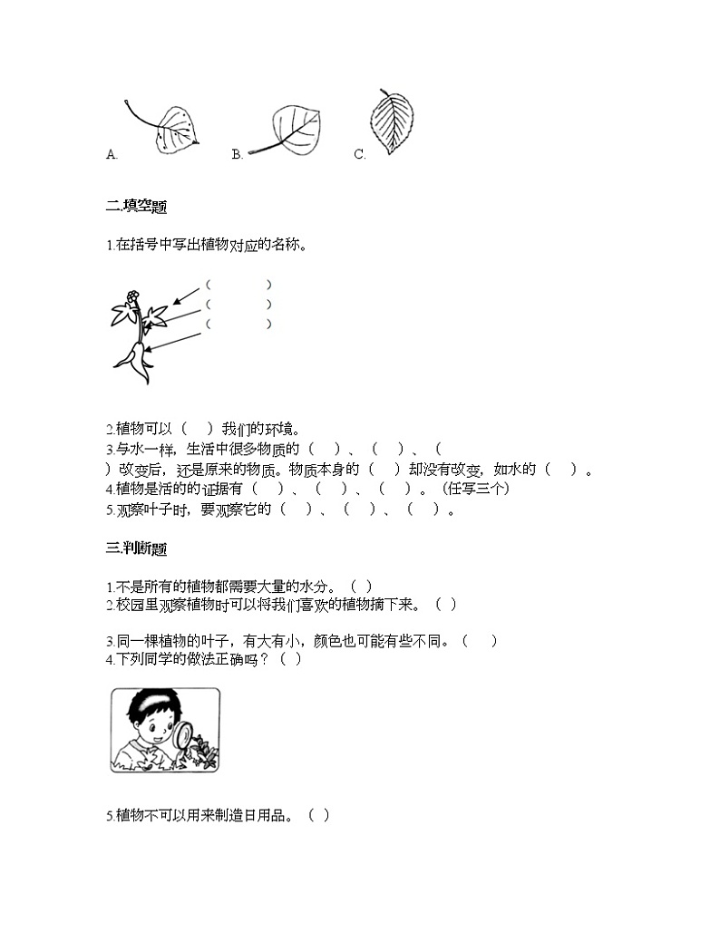 教科版一年级上册科学第一单元 植物 测试卷（含答案） (15)第2页